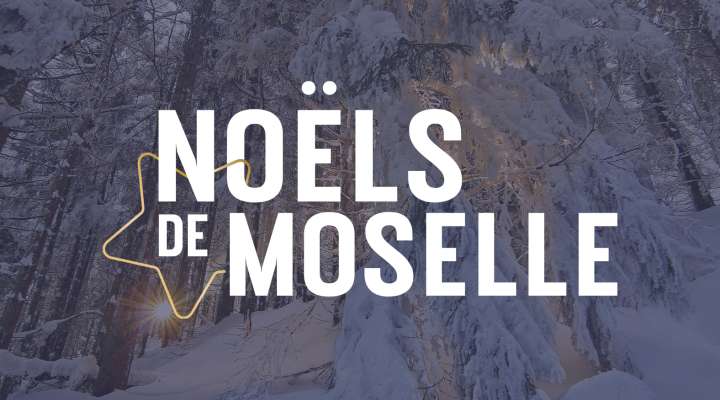 Thionville fête noël