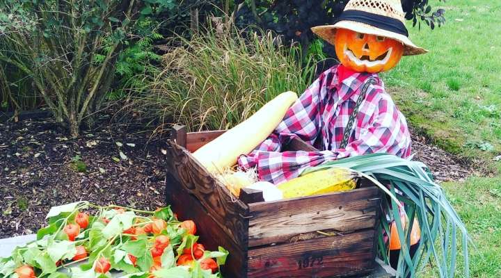 Visite du jardin hanté
