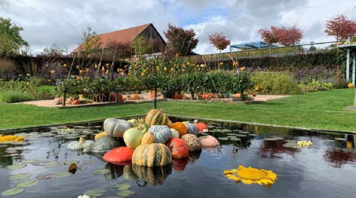 Visite du jardin hanté