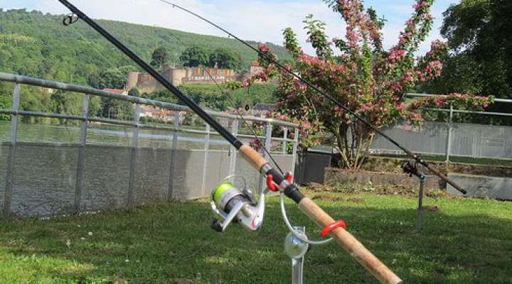 Camping municipal des tilleuls