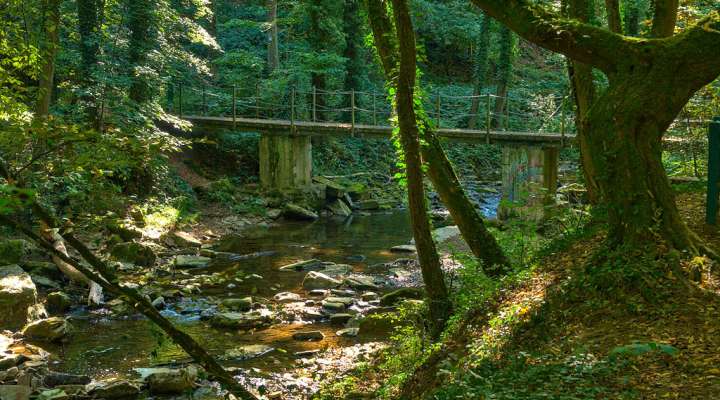 Affleurement de quartzites de Sierck-les-Bains