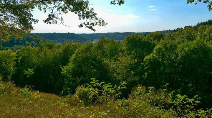Réserve naturelle nationale de Montenach
