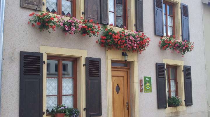 Gîte les orchidées