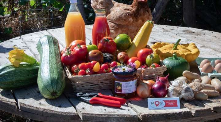 Les jardins de Popote