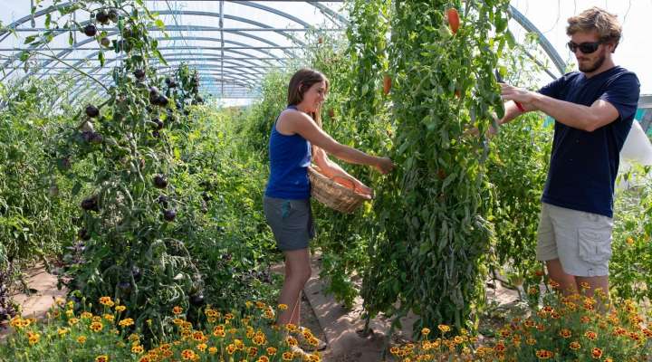 Les jardins de Popote