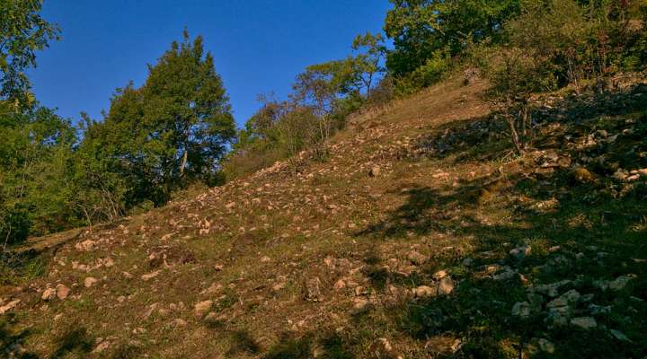 Réserve naturelle de hammelsberg