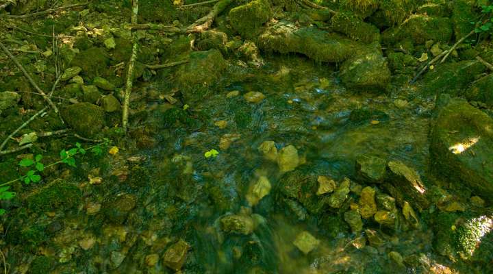 Résurgence du Husprung