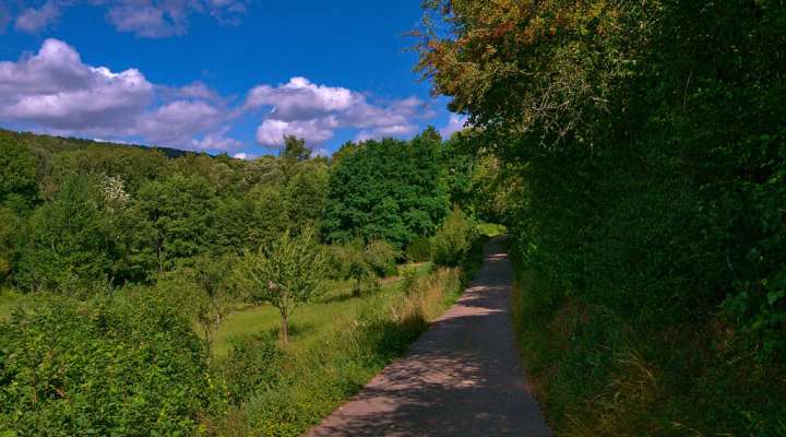 Pelouses et rochers du Pays de Sierck