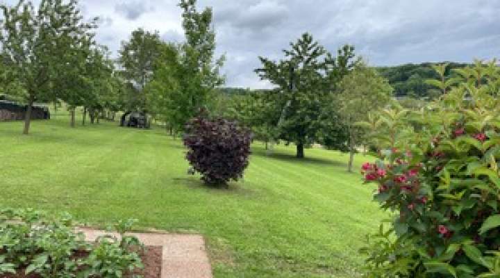 Chambre d'hôtes David Leban