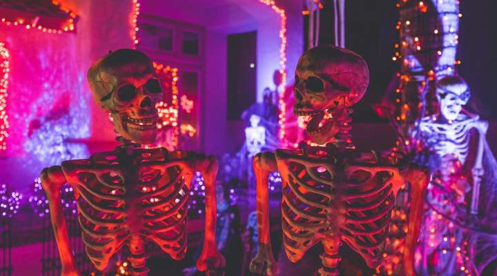 Halloween Party Night