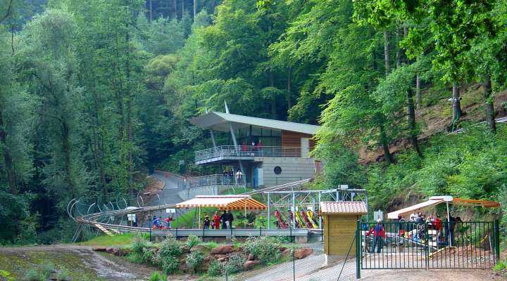 Luge alpine coaster