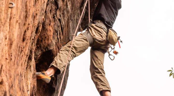 Rocher du Corbeau ou Krappenfels