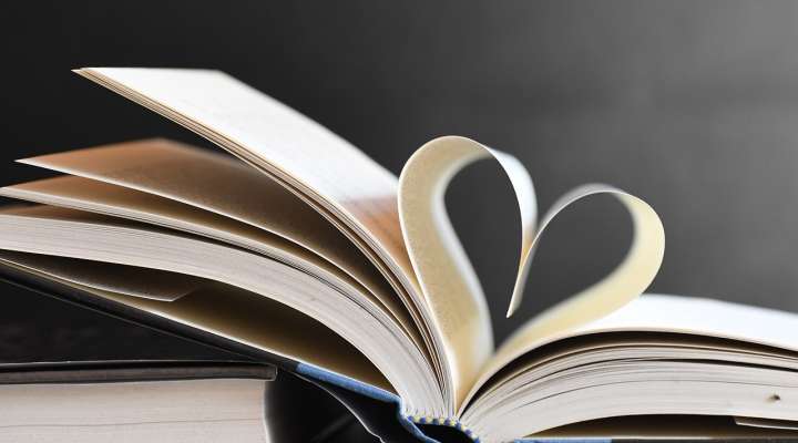 Salon du livre