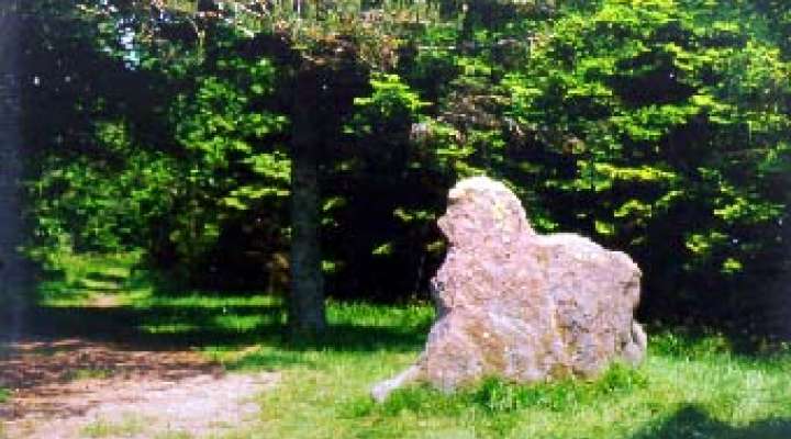 Rocher du Hengst