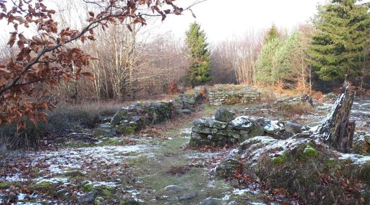 Vestiges gallo-romains du Wasserwald