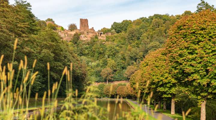 Château de Lutzelbourg