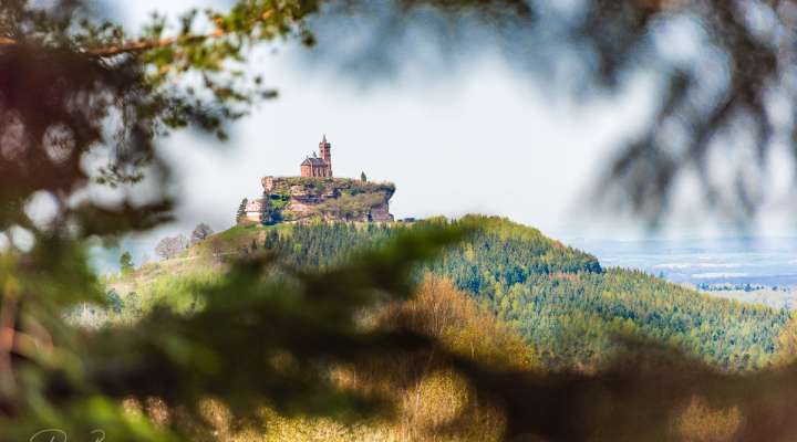 Circuit le rocher du pays de Dabo