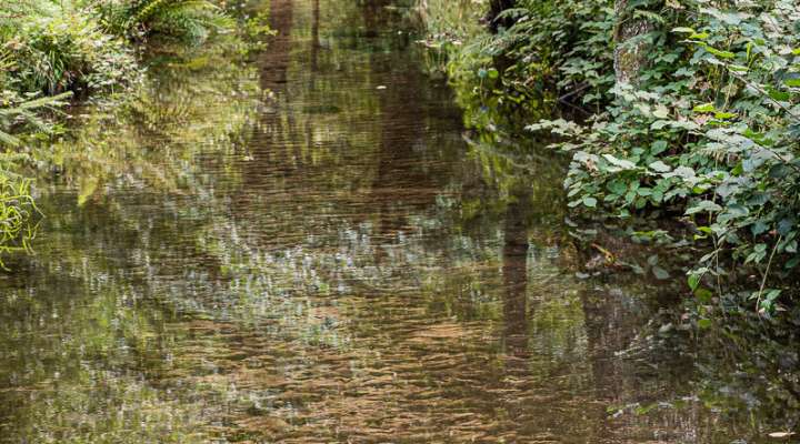 Circuit sur les versants de la rivière Zorn entre Harreberg et Dabo
