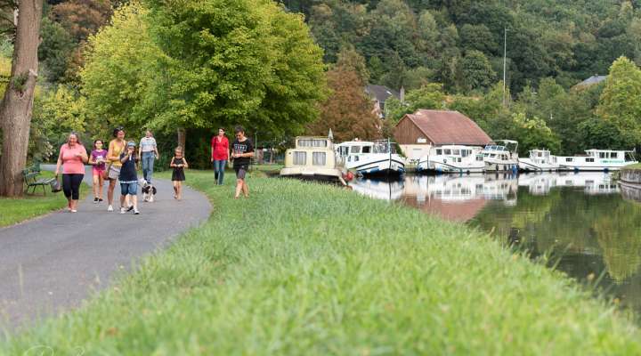 Sentier du Buchholzkopf et sentier des roches