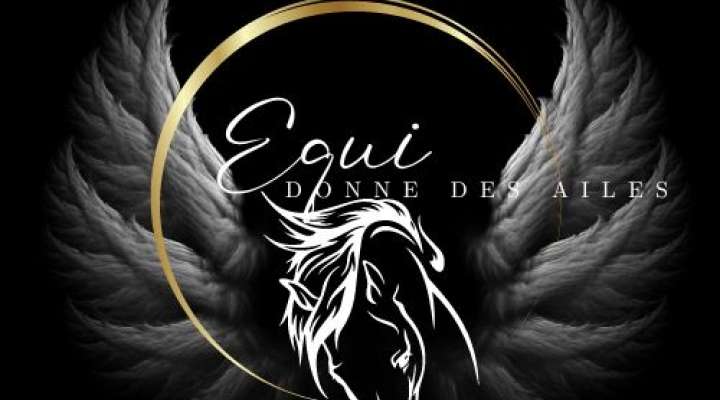 Balades découverte de la nature avec les poneys