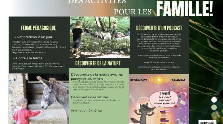 Balades découverte de la nature avec les poneys