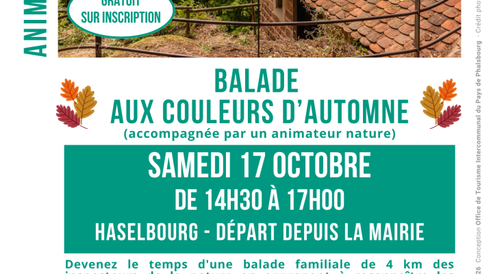 Sortie nature - Balade aux couleurs d'automne