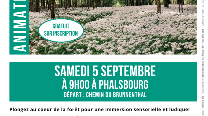 La forêt se la raconte