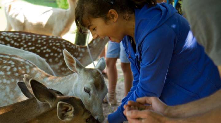 PARC ANIMALIER DE SAINTE-CROIX