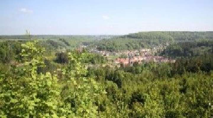 Forêt domaniale de Saint-Quirin