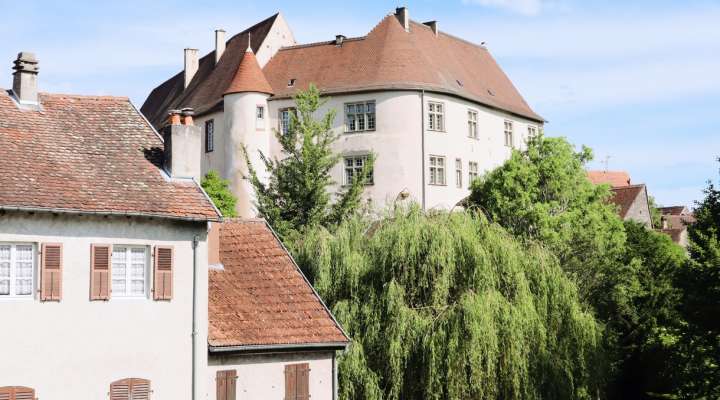 Château de Fénétrange