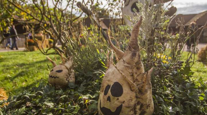 Halloween au Parc de Sainte-Croix