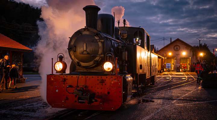 Nuit de l'horreur au train forestier