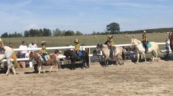 Domaine équestre du Jardinot