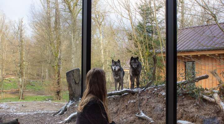 Hébergement insolite - Yukon lodges