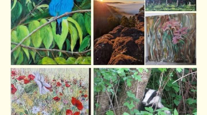 Exposition de peintures et de photographies - De la Guyane à la Lorraine