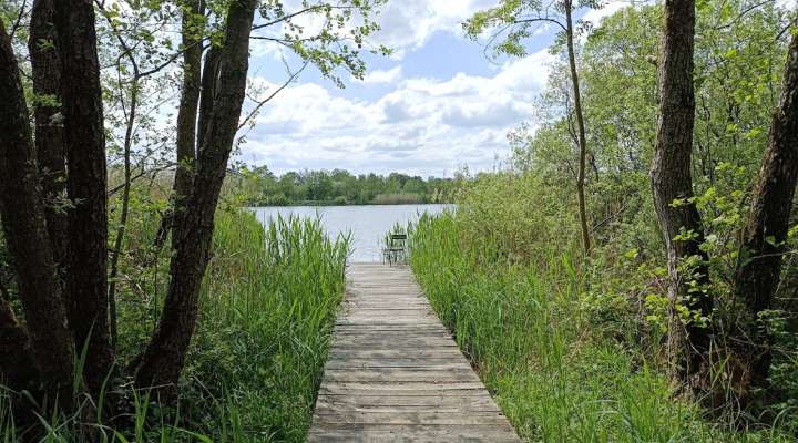 Sortie nature - Découverte de la faune et flore locale