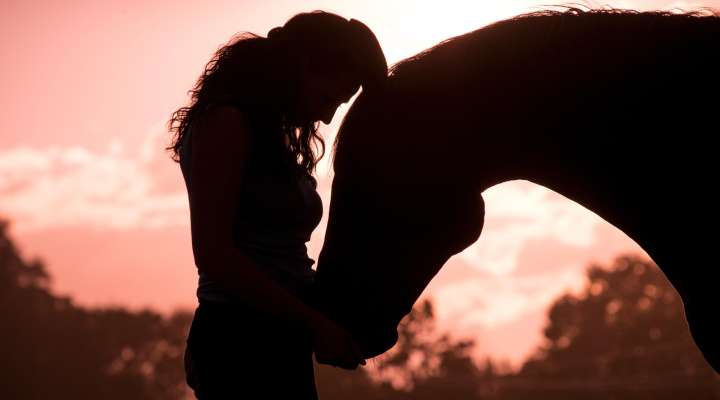 Spectacle équestre - Bohemia