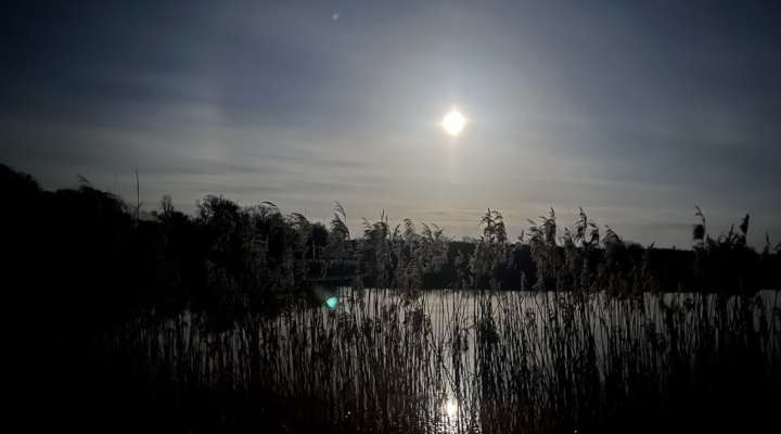 Sortie nature crépusculaire - Entre chien et loup