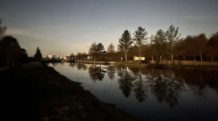 Sortie nature crépusculaire - Entre chien et loup