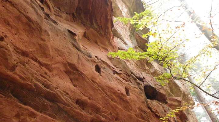 Le château du Grand Arnsbourg