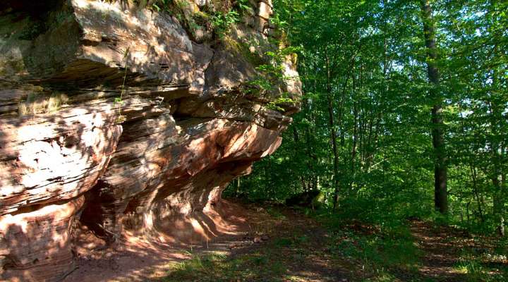 Le château du Rothenbourg