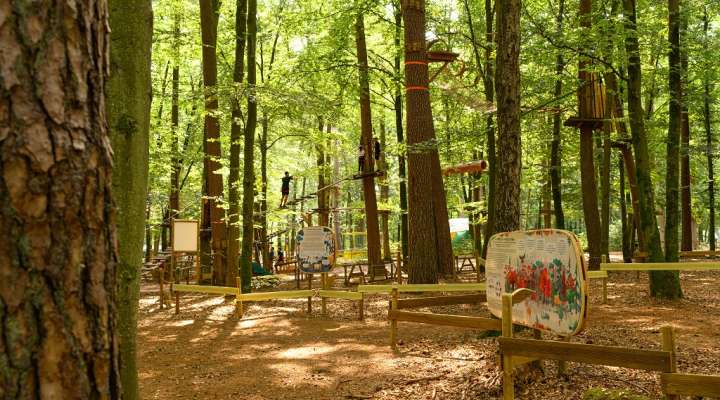 Parc multiloisirs la forêt des défis