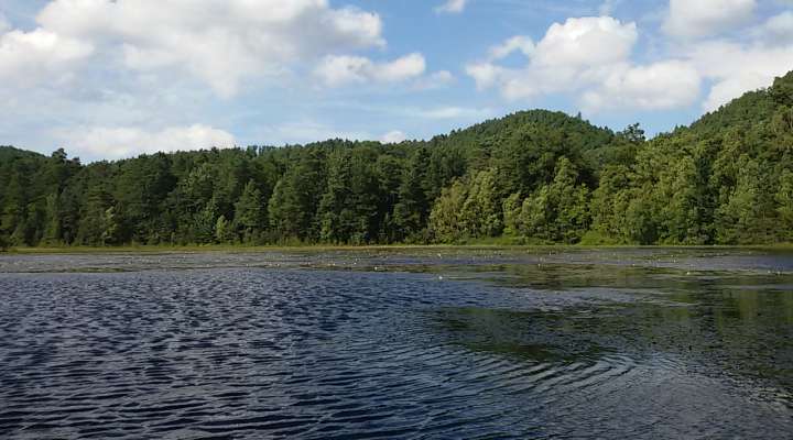 Étang de waldeck - réserve naturelle