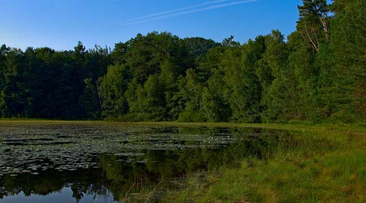 Étang de waldeck - réserve naturelle