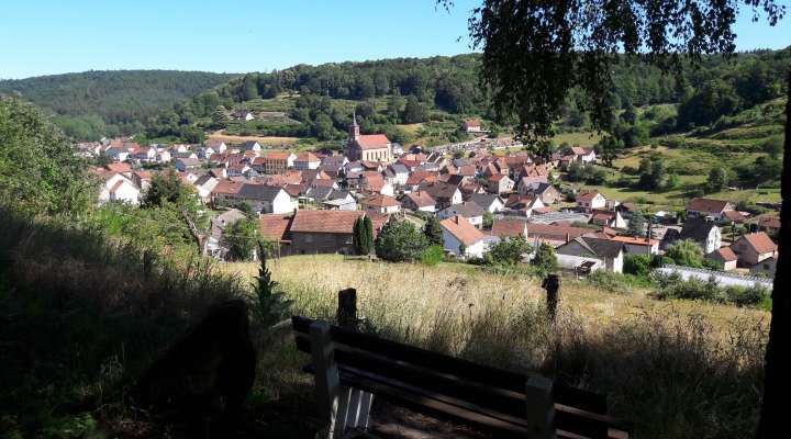 Sentier d'excellence 7 - sur les traces des sabotiers