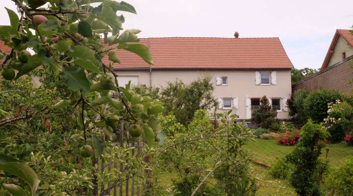 Gîte les papillons