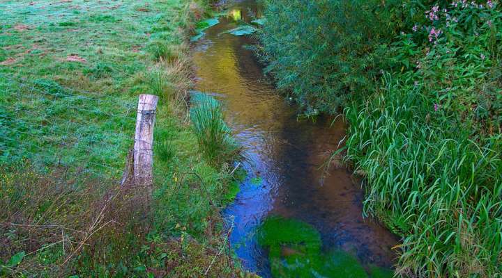 La vallée de la horn