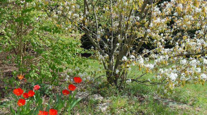 Chambres d'hôte Villa Thalassa