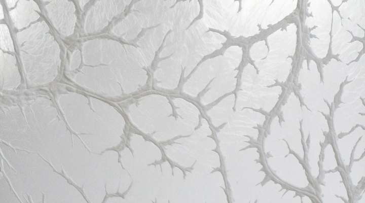 La Fondation d’entreprise Hermès présente l’exposition « Toute la beauté du monde » de l’artiste Léa Barbazanges à La Grande Place, musée Saint-Louis