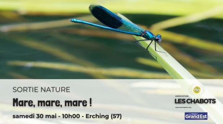 Mare, mare, mare !